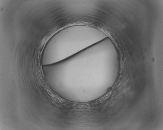 X0000068820337200605051216