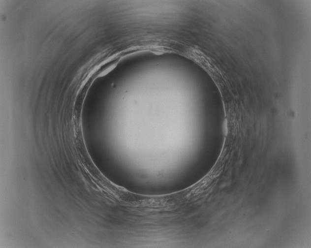 X0000068820338200605051216