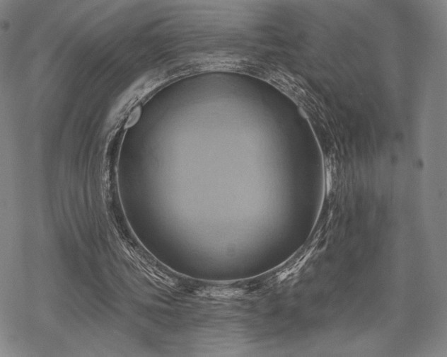 X0000068820339200605051216