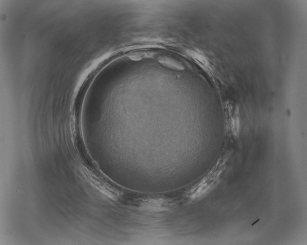 X0000068820342200605051216