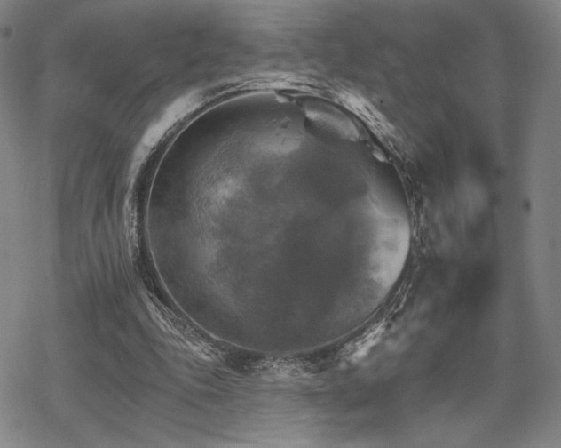 X0000068820343200605051216