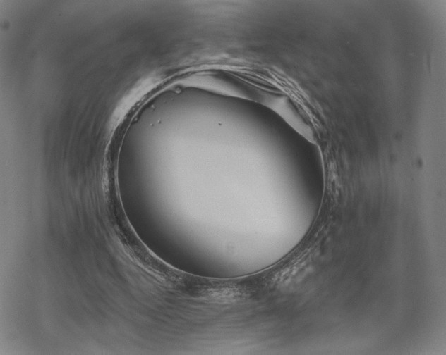 X0000068820344200605051216