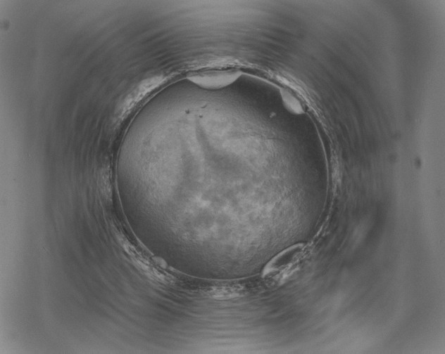 X0000068820345200605051216