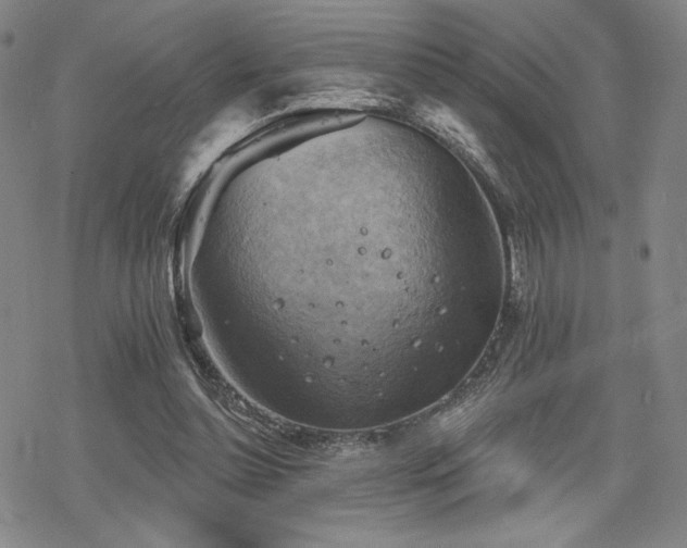 X0000068820348200605051216