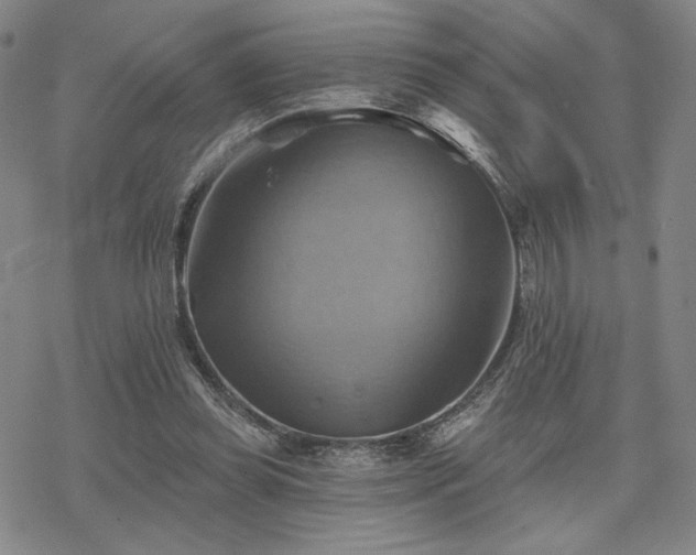 X0000068820349200605051216