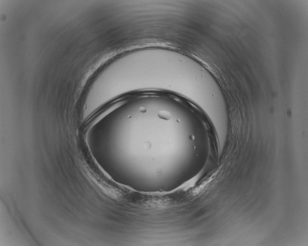 X0000068820350200605051216