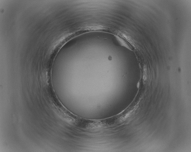 X0000068820351200605051216