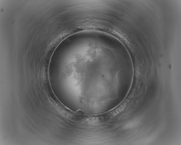 X0000068820353200605051216