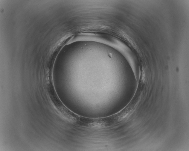 X0000068820356200605051216