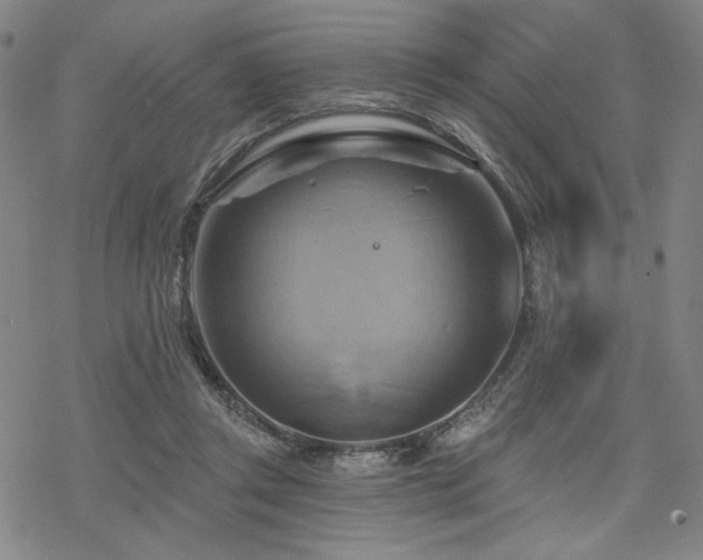 X0000068820357200605051216