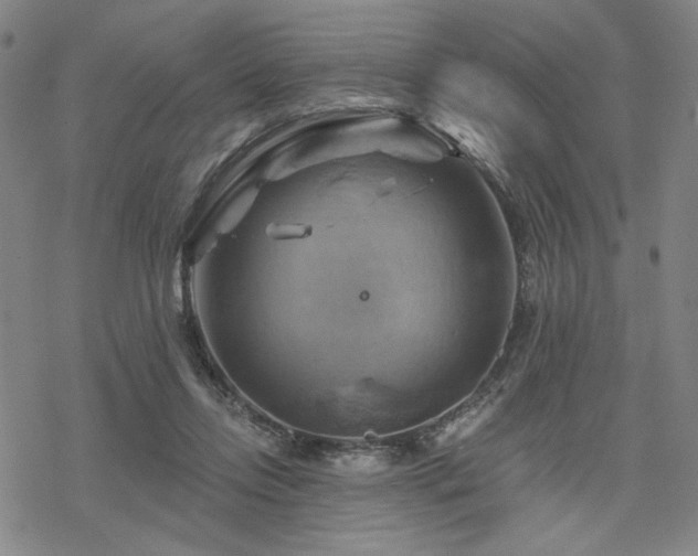 X0000068820358200605051216