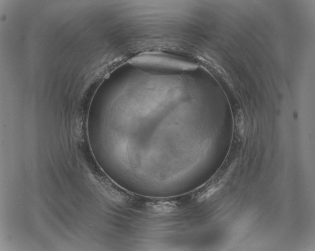 X0000068820359200605051216