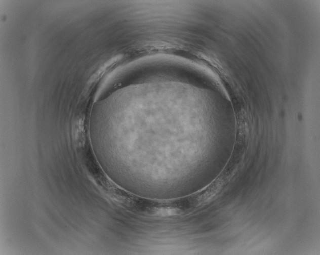 X0000068820360200605051217