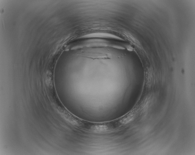 X0000068820361200605051217