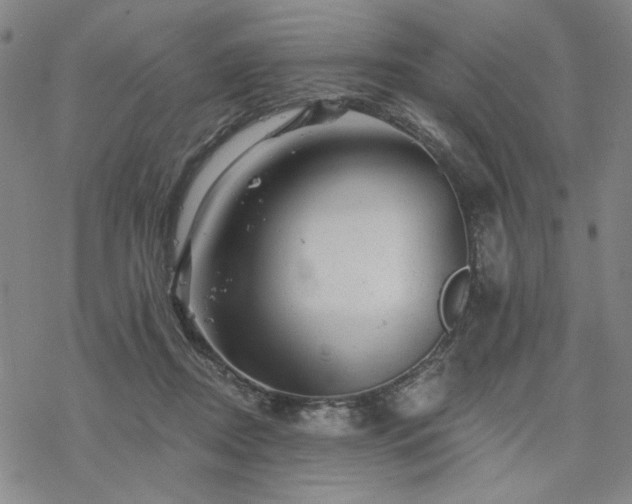 X0000068820362200605051217