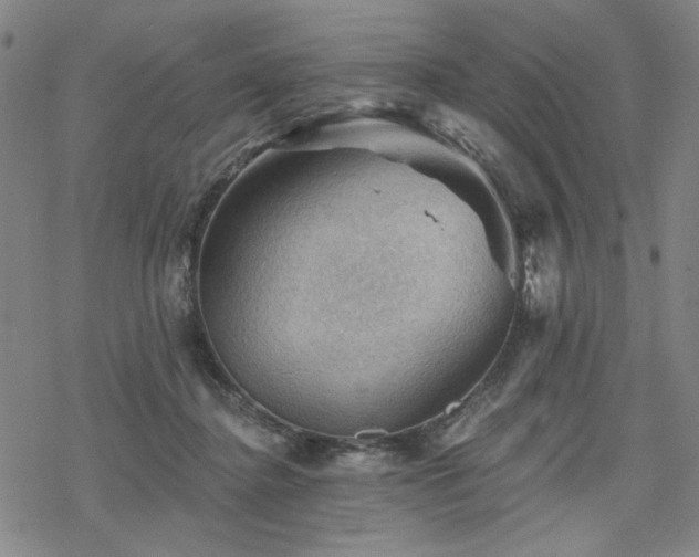 X0000068820364200605051217