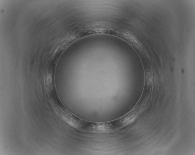 X0000068820365200605051217