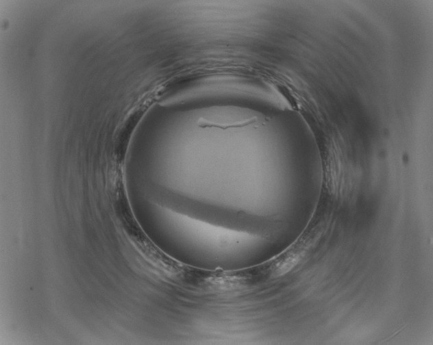 X0000068820367200605051217