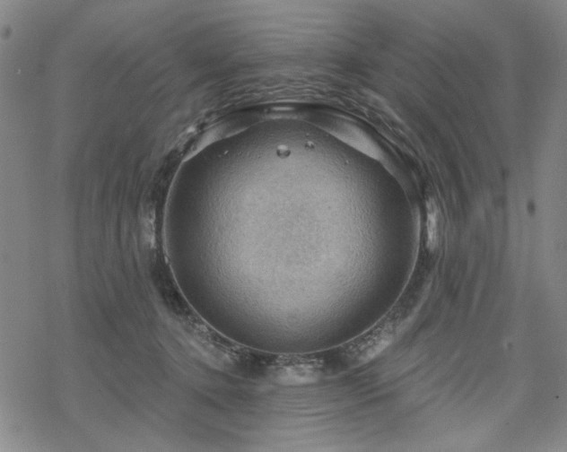 X0000068820368200605051217