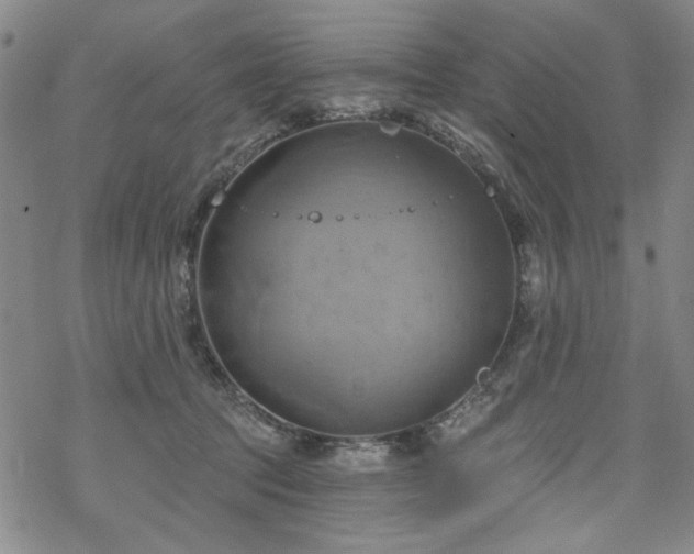 X0000068820369200605051217