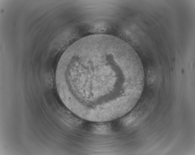 X0000068820370200605051217