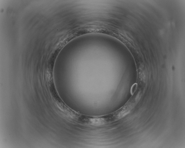 X0000068820371200605051217