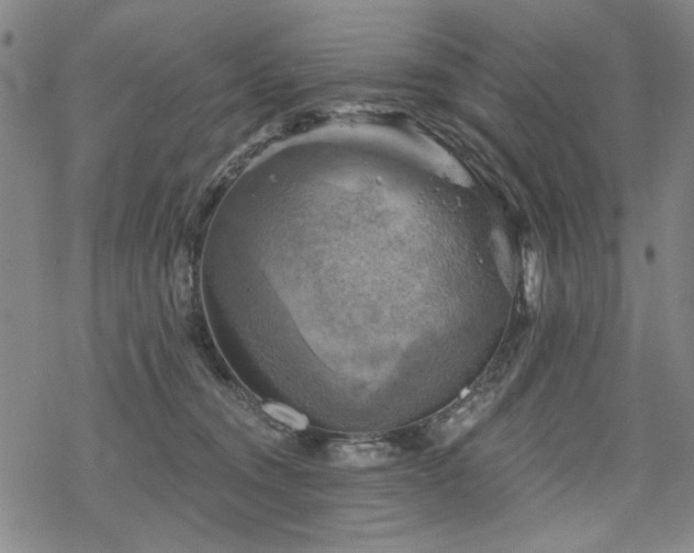 X0000068820372200605051217