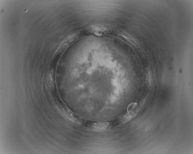 X0000068820373200605051217