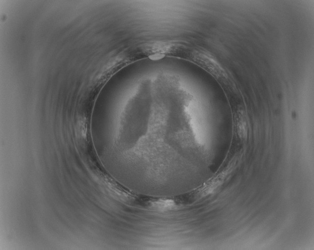 X0000068820374200605051217