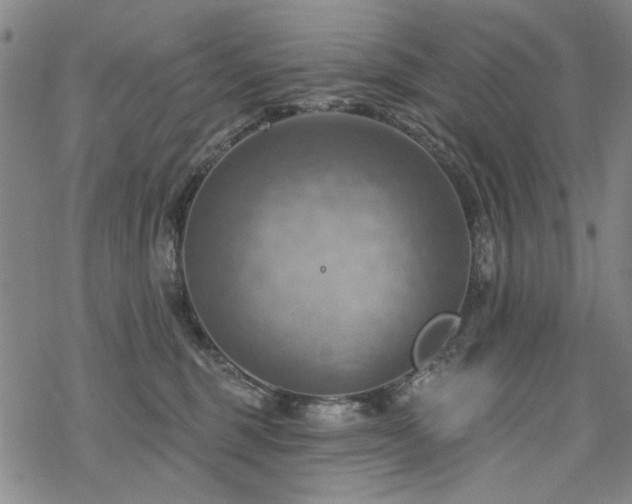 X0000068820375200605051217