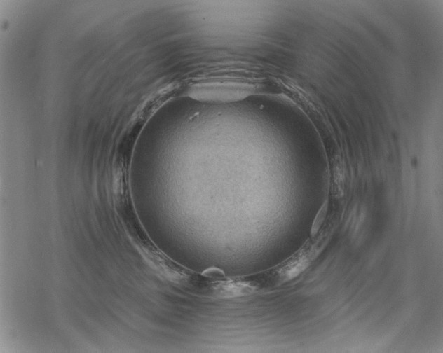 X0000068820379200605051217