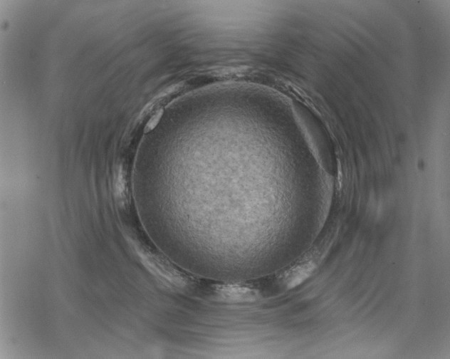 X0000068820380200605051217