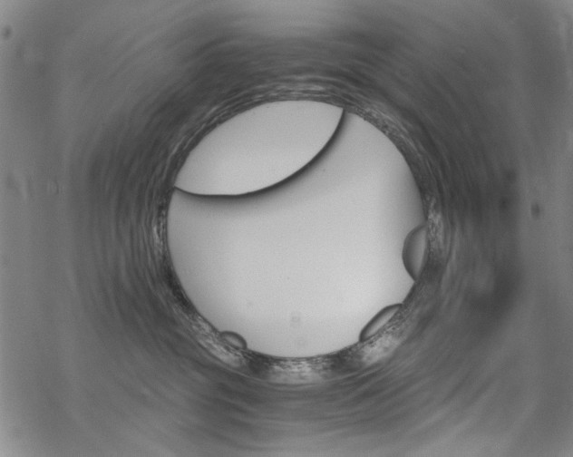 X0000068820381200605051217