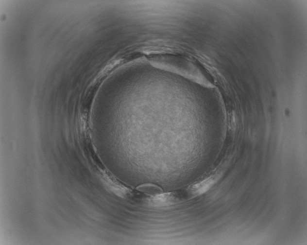 X0000068820382200605051217