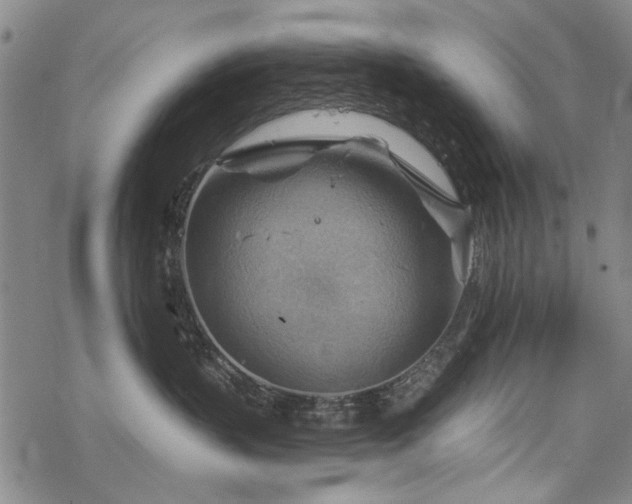 X0000068820383200605051217