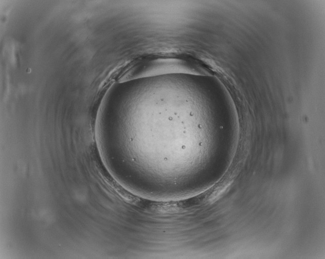 X0000068820384200605051217