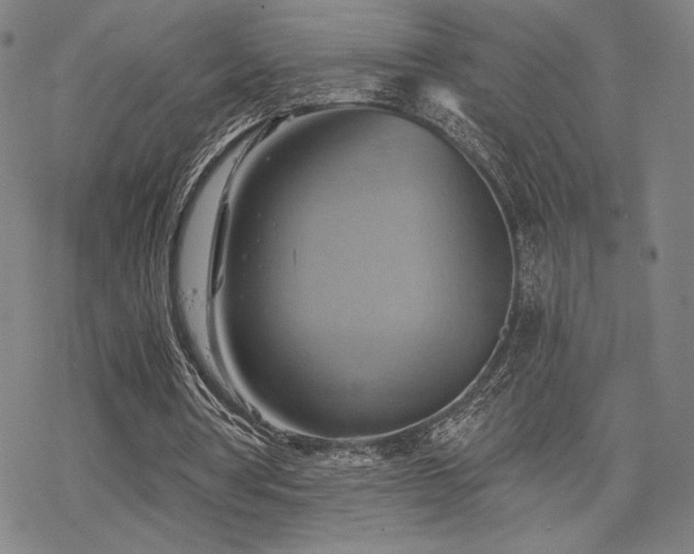 X0000068820386200605051216