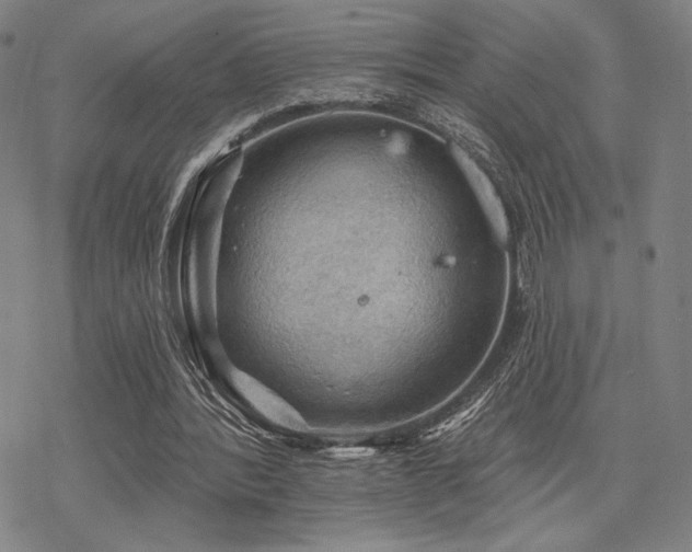 X0000068820388200605051216