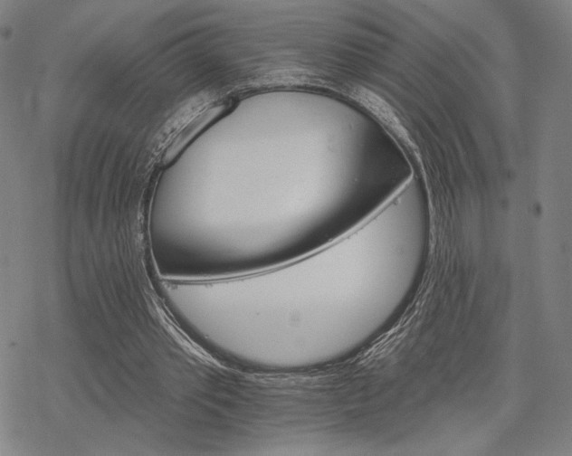 X0000068820389200605051216