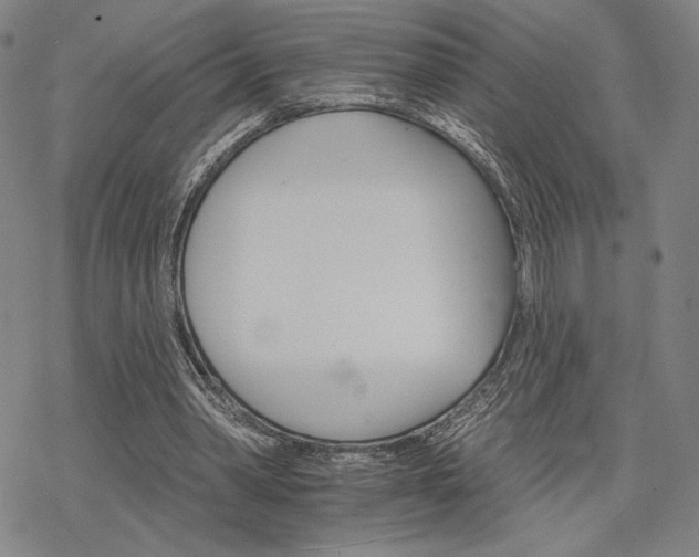 X0000068820390200605051216