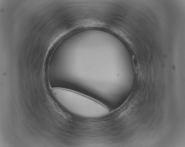 X0000068820391200605051216