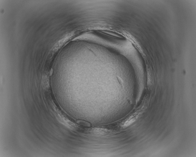 X0000068820393200605051216