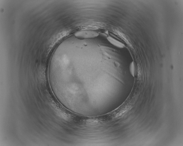 X0000068820394200605051216