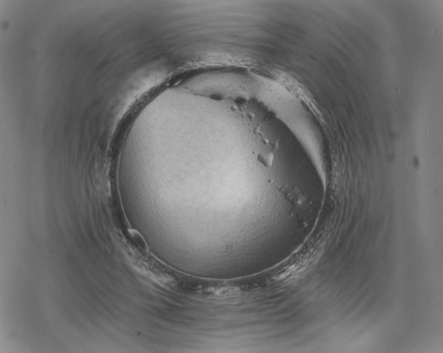 X0000068820395200605051216