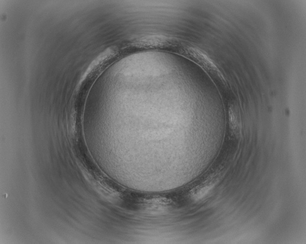 X0000068820396200605051216