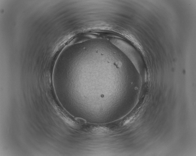 X0000068820397200605051216