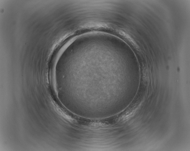 X0000068820399200605051216