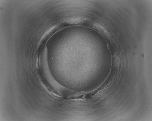 X0000068820400200605051216