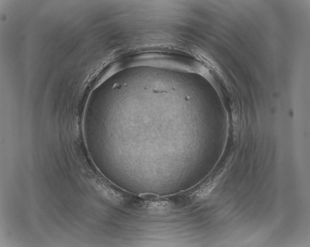 X0000068820401200605051216