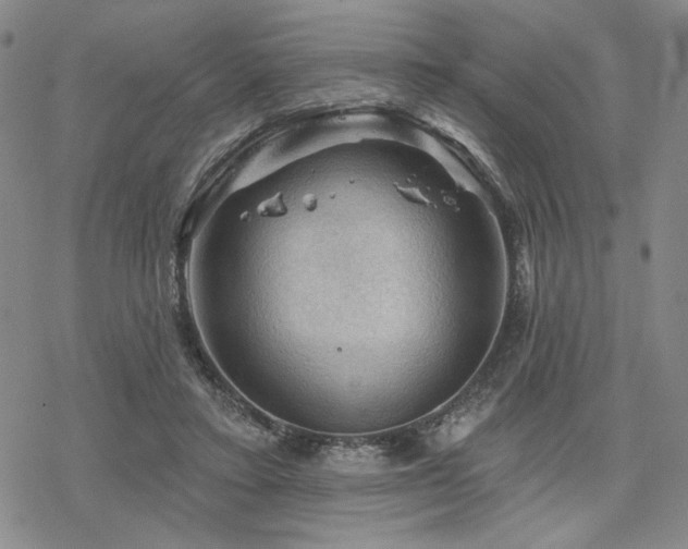 X0000068820403200605051216